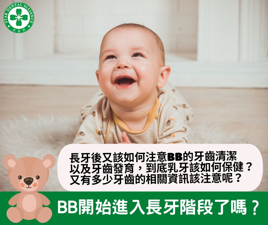 BB的牙齒清潔以及牙齒發育-Stardental